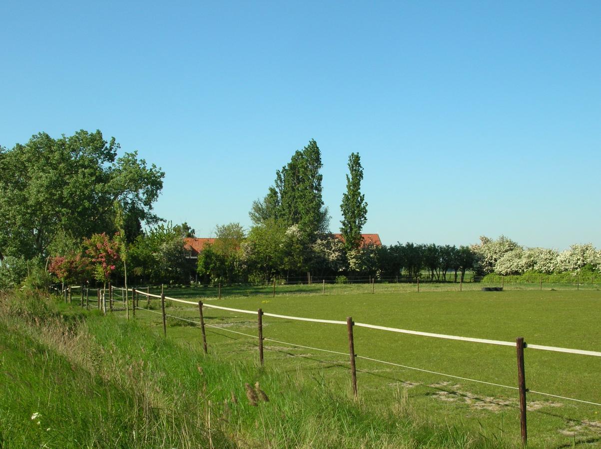 Gastenverblijven Boerderij Het Driespan Middelburg Exterior foto