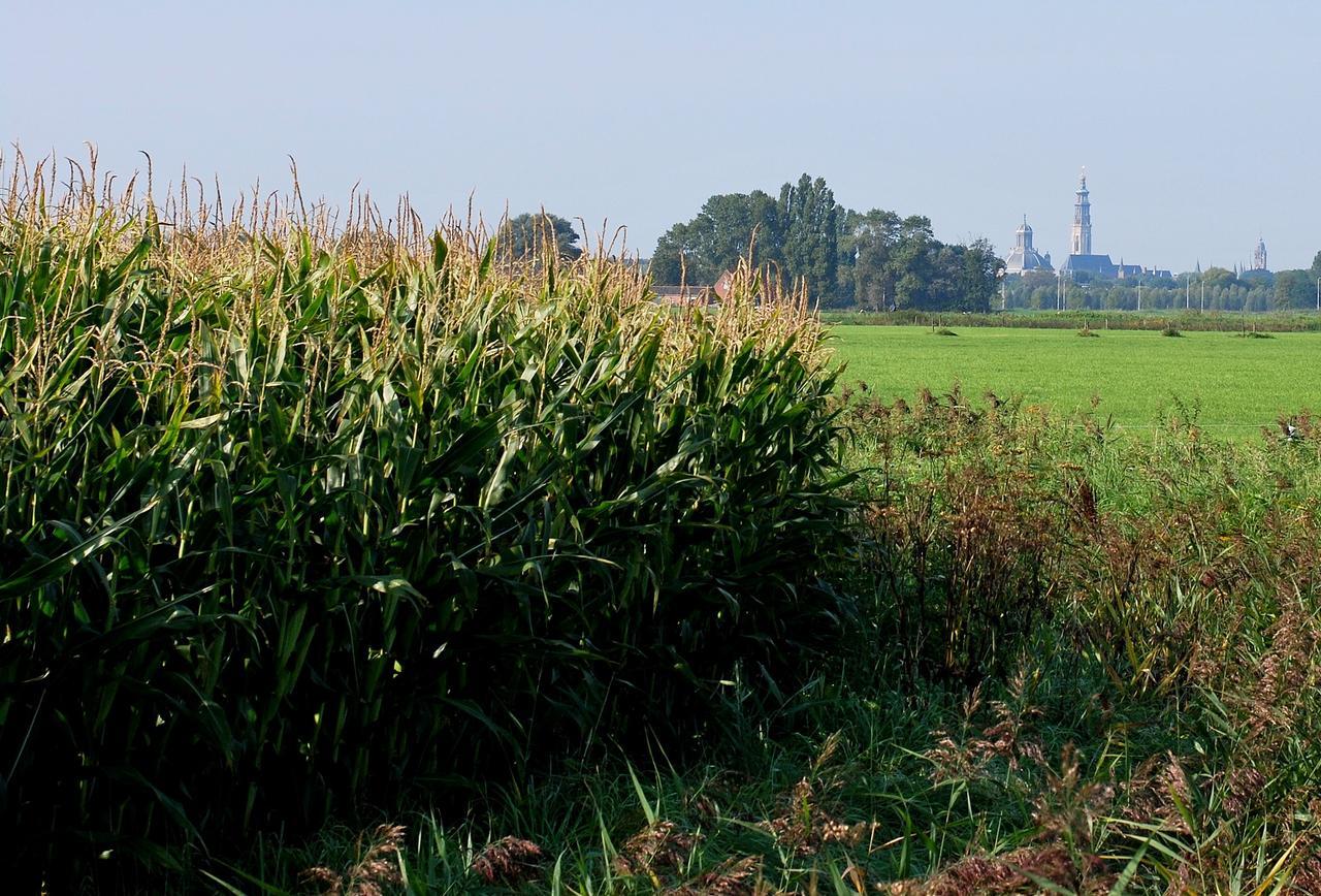 Gastenverblijven Boerderij Het Driespan Middelburg Exterior foto